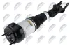 Luftfederbein Vorderachse links NTY A-ME-061