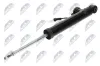Sto&szlig;d&auml;mpfer Hinterachse links NTY A-PL-065
