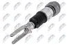 Luftfederbein Vorderachse links NTY A-PS-025 Bild Luftfederbein Vorderachse links NTY A-PS-025
