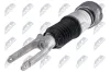 Luftfederbein Vorderachse links NTY A-PS-027 Bild Luftfederbein Vorderachse links NTY A-PS-027