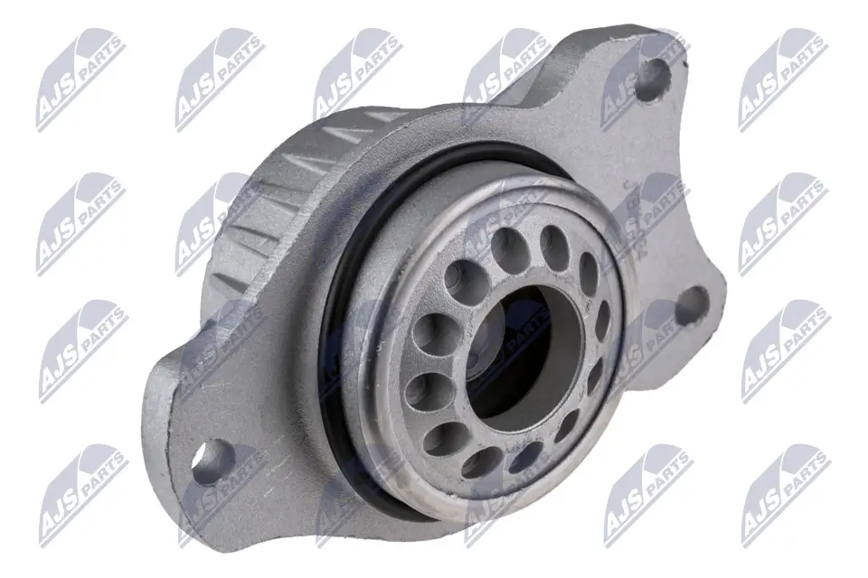 Montagesatz, Federbeinstützlager Hinterachse links Hinterachse rechts NTY AD-BM-034