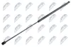Gasfeder, Motorhaube NTY AE-AU-000