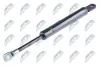 Gasfeder, Verdeck NTY AE-BM-039