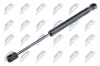 Gasfeder, Motorhaube NTY AE-BM-050