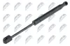 Gasfeder, Motorhaube NTY AE-BM-062