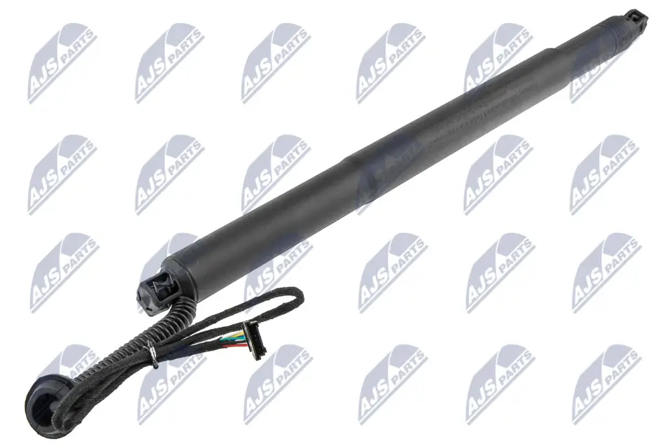 Gasfeder, Einlegeboden (Koffer-/Laderaum) hinten links NTY AE-BM-078