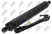 Elektromotor, Heckklappe beidseitig NTY AE-BM-089