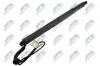 Gasfeder, Koffer-/Laderaum hinten links NTY AE-BM-096