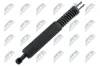 Gasfeder, Koffer-/Laderaum beidseitig hinten links hinten rechts NTY AE-BM-101