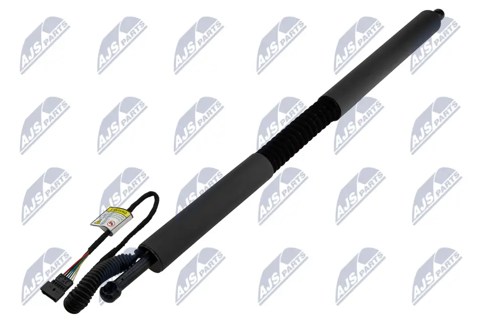 Gasfeder, Koffer-/Laderaum hinten links NTY AE-BM-109