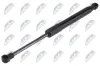 Gasfeder, Motorhaube vorne NTY AE-BM-149