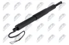 Gasfeder, Koffer-/Laderaum hinten links hinten rechts NTY AE-BM-157