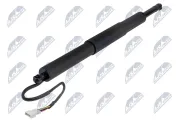 Gasfeder, Koffer-/Laderaum hinten links hinten rechts NTY AE-BM-157