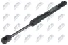 Gasfeder, Motorhaube beidseitig NTY AE-BM-167