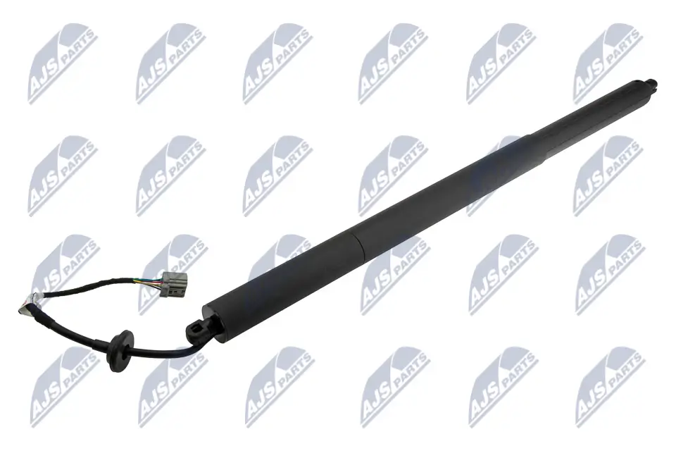 Gasfeder, Koffer-/Laderaum hinten links NTY AE-CH-049