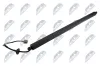 Gasfeder, Koffer-/Laderaum hinten links NTY AE-CH-049
