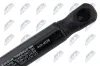 Gasfeder, Motorhaube NTY AE-CH-076 Bild Gasfeder, Motorhaube NTY AE-CH-076