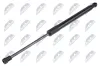 Gasfeder, Koffer-/Laderaum NTY AE-CT-007