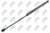Gasfeder, Koffer-/Laderaum NTY AE-CT-031