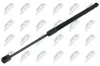 Gasfeder, Koffer-/Laderaum beidseitig NTY AE-CT-063