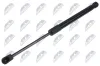 Gasfeder, Motorhaube beidseitig NTY AE-CT-065