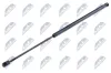 Gasfeder, Koffer-/Laderaum NTY AE-FR-006