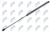 Gasfeder, Koffer-/Laderaum NTY AE-FR-010