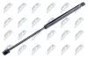 Gasfeder, Koffer-/Laderaum NTY AE-FR-040