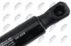 Gasfeder, Koffer-/Laderaum hinten links hinten rechts NTY AE-FR-089 Bild Gasfeder, Koffer-/Laderaum hinten links hinten rechts NTY AE-FR-089