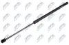 Gasfeder, Koffer-/Laderaum hinten links hinten rechts NTY AE-FR-091