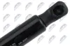 Gasfeder, Koffer-/Laderaum hinten links hinten rechts NTY AE-FR-092 Bild Gasfeder, Koffer-/Laderaum hinten links hinten rechts NTY AE-FR-092