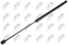 Gasfeder, Koffer-/Laderaum hinten links hinten rechts NTY AE-HD-034