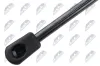Gasfeder, Koffer-/Laderaum NTY AE-KA-052 Bild Gasfeder, Koffer-/Laderaum NTY AE-KA-052