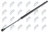 Gasfeder, Koffer-/Laderaum hinten links hinten rechts NTY AE-LR-008