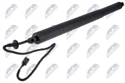 Gasfeder, Koffer-/Laderaum NTY AE-LR-028