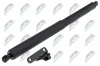 Gasfeder, Koffer-/Laderaum hinten links NTY AE-ME-083