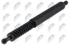 Gasfeder, Koffer-/Laderaum hinten links NTY AE-ME-098