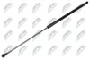 Gasfeder, Motorhaube beidseitig NTY AE-ME-122