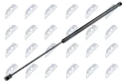 Gasfeder, Koffer-/Laderaum NTY AE-MS-007