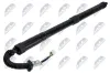 Gasfeder, Koffer-/Laderaum hinten rechts NTY AE-MZ-027