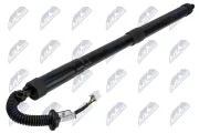 Gasfeder, Koffer-/Laderaum hinten rechts NTY AE-MZ-027