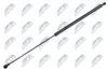 Gasfeder, Koffer-/Laderaum NTY AE-NS-010