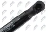 Gasfeder, Motorhaube NTY AE-NS-034 Bild Gasfeder, Motorhaube NTY AE-NS-034