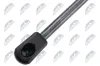 Gasfeder, Motorhaube NTY AE-NS-036 Bild Gasfeder, Motorhaube NTY AE-NS-036