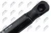 Gasfeder, Motorhaube NTY AE-NS-036 Bild Gasfeder, Motorhaube NTY AE-NS-036