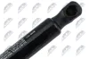 Gasfeder, Koffer-/Laderaum NTY AE-NS-037 Bild Gasfeder, Koffer-/Laderaum NTY AE-NS-037