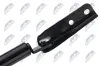 Gasfeder, Koffer-/Laderaum NTY AE-NS-039 Bild Gasfeder, Koffer-/Laderaum NTY AE-NS-039