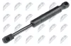Gasfeder, Motorhaube NTY AE-PE-024