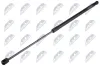 Gasfeder, Koffer-/Laderaum NTY AE-PE-046 Bild Gasfeder, Koffer-/Laderaum NTY AE-PE-046