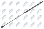 Gasfeder, Koffer-/Laderaum NTY AE-PL-044